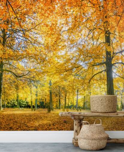 Papel de parede Woodland Papel de parede Woodland