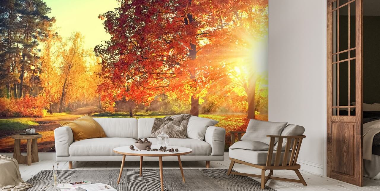 Autumn Scene Wallpaper Mural | Wallsauce US