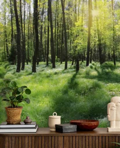 Forest Wall Mural Forest Wall Mural