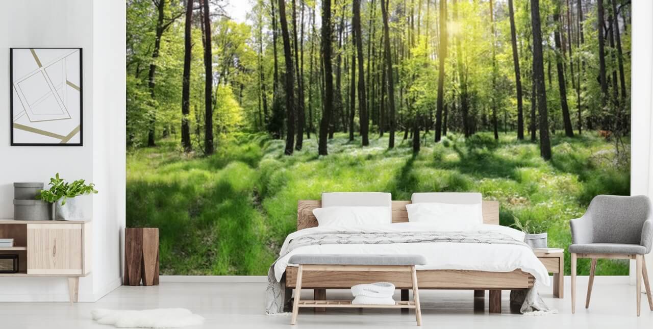 Forest Wall Mural