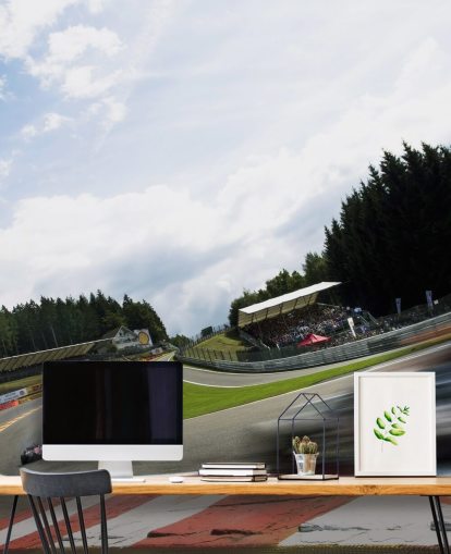 F1 race- en baanbehang muurschildering F1 race- en baanbehang muurschildering