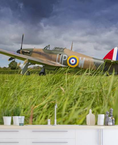 Fly i feltet Bakgrunn Fly i feltet Bakgrunn