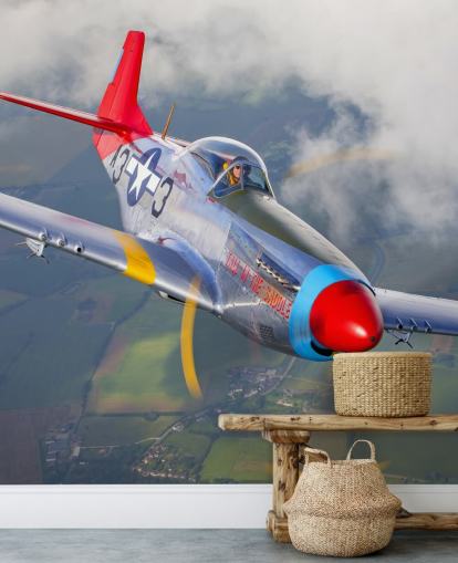 Flygplan över fält Bakgrund Flygplan över fält Bakgrund