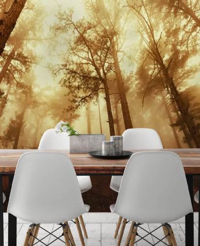 Papel de Parede Floresta Colorida Laranja Papel de Parede Floresta Colorida Laranja