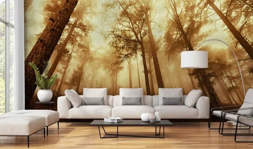 Forest Wallpaper & Tree Wall Murals | Wallsauce US