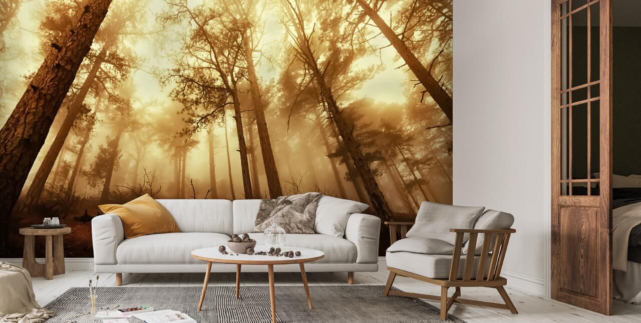 Pine Forest in the Mist Wallpaper | Wallsauce US