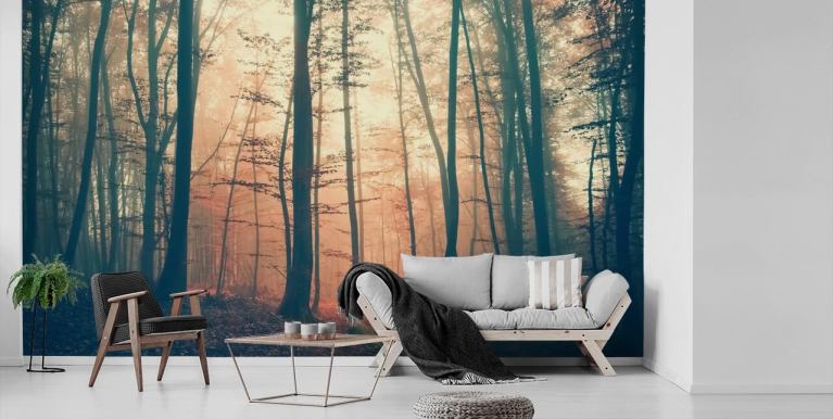 Forest Wallpaper & Tree Wallpaper Murals | Wallsauce US