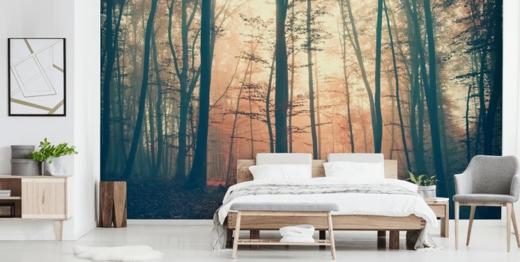 papel de parede Sunset Forest