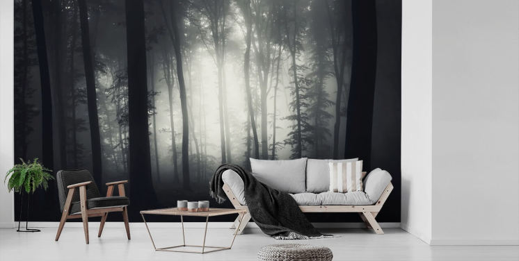 Black and White Wallpaper and Wall Murals | Wallsauce US