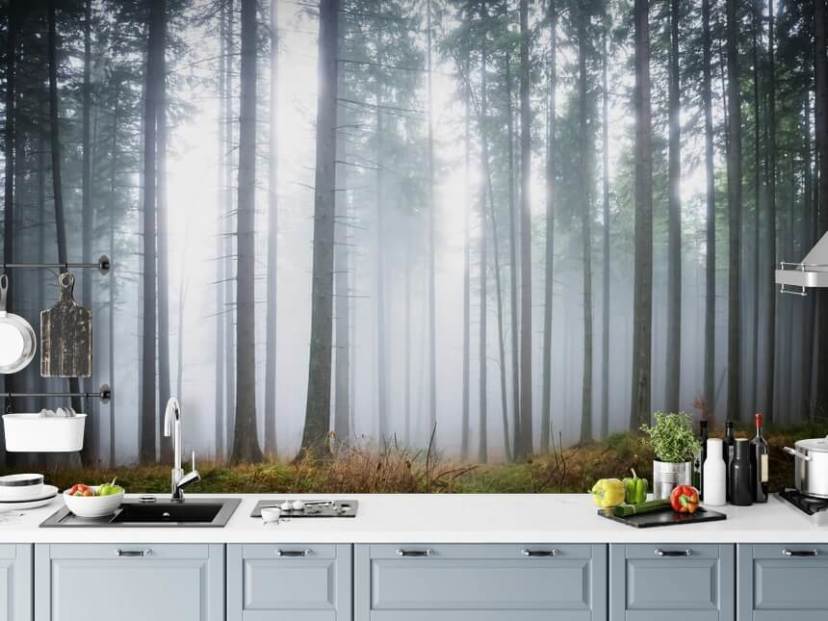 Forest Wallpaper & Tree Wall Murals | Wallsauce AU