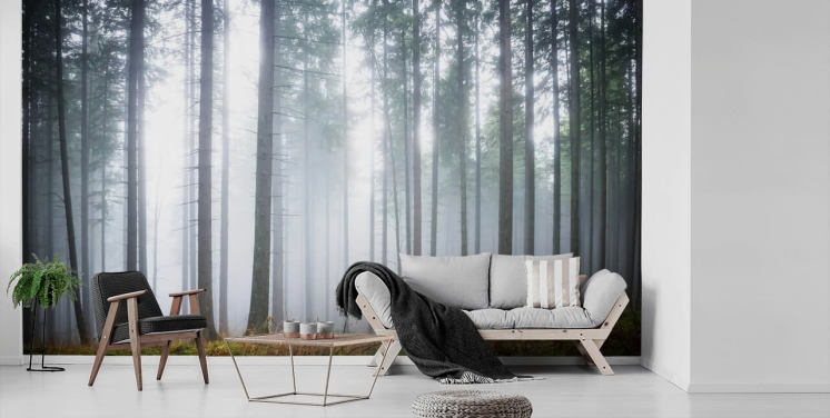Wandbild mit Nebelwald namens Morning Forest Mist für Schlafzimmer, Wohnzimmer oder Büro