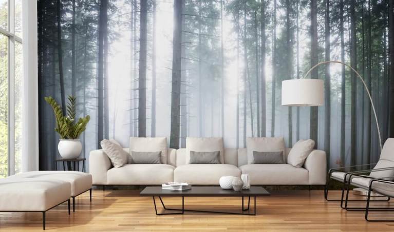 Forest Wallpaper & Tree Wallpaper Murals | Wallsauce US