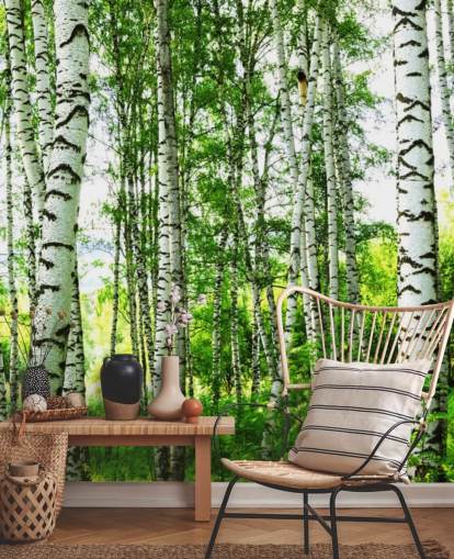 Hvite bjørketrær og grønne blader tapet Hvite bjørketrær og grønne blader tapet