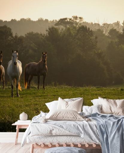 Drie wilde paarden in veld behang Drie wilde paarden in veld behang