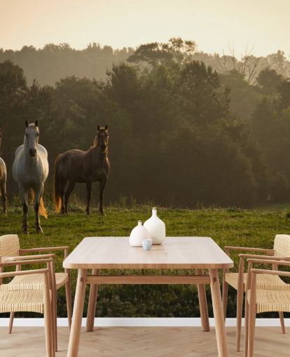 Fondo de pantalla de tres caballos salvajes en campo Fondo de pantalla de tres caballos salvajes en campo