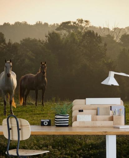 Fondo de pantalla de tres caballos salvajes en campo Fondo de pantalla de tres caballos salvajes en campo