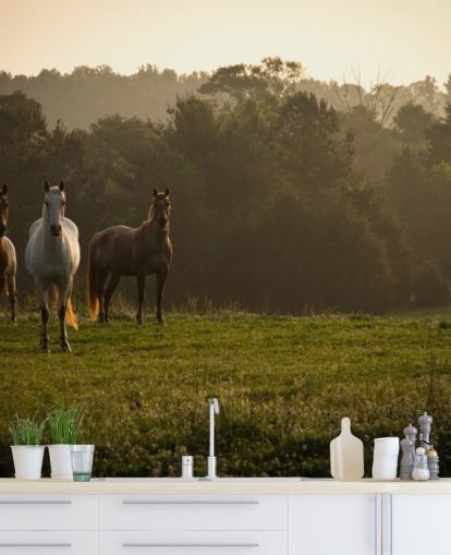 Tre ville hester i feltet tapet Tre ville hester i feltet tapet