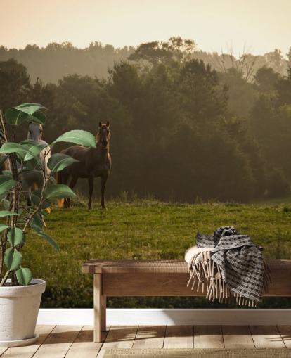 Sfondo Tre Cavalli Selvaggi in Campo Sfondo Tre Cavalli Selvaggi in Campo