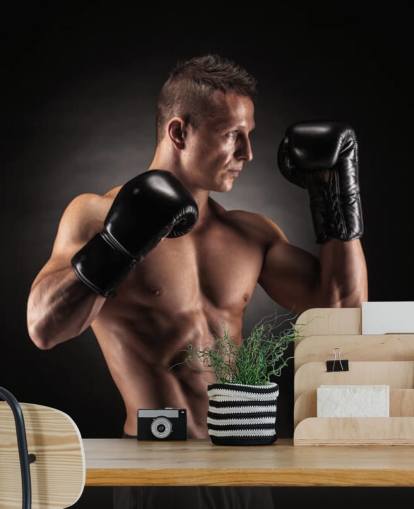 Boxer posando con fondo negro Boxer posando con fondo negro