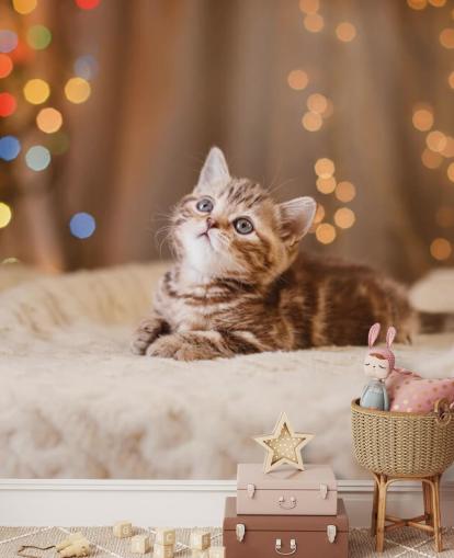 Carta da parati gattino britannico, Natale e Capodanno Carta da parati gattino britannico, Natale e Capodanno