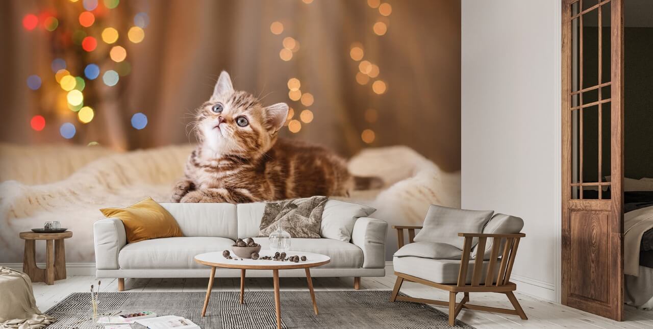 British Kitten Wallpaper | Wallsauce US