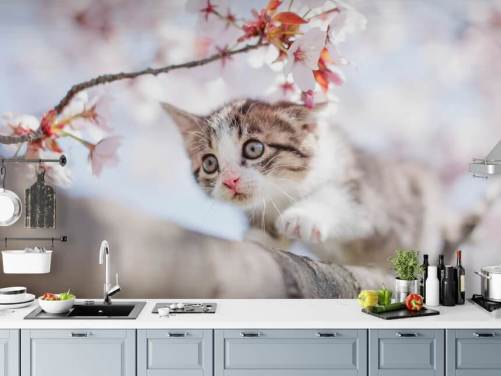 Kattunge Klatring et tre vegg veggmaleri 
