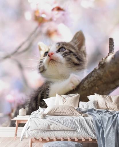 Kitten on Blossom Tree Branch Wall Mural Kitten on Blossom Tree Branch Wall Mural