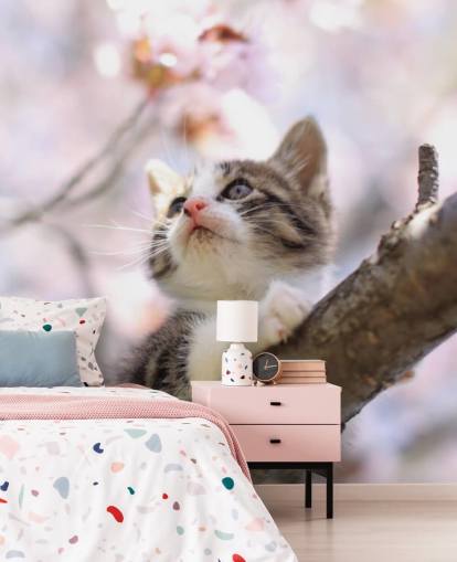 Kitten on Blossom Tree Branch Wall Mural Kitten on Blossom Tree Branch Wall Mural