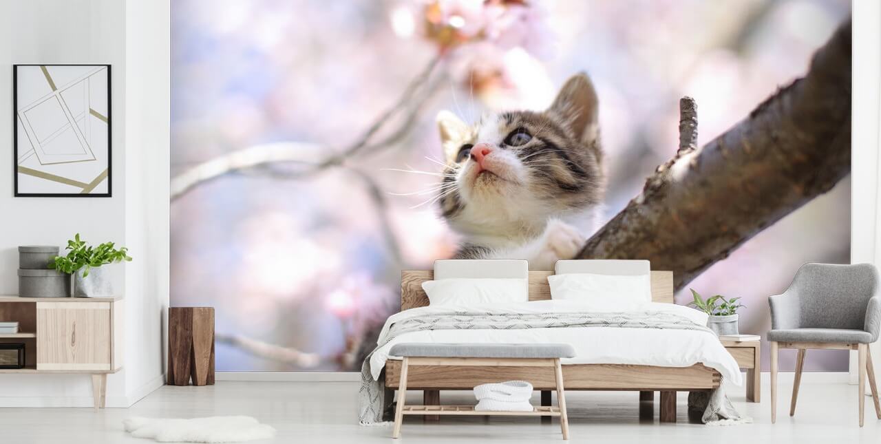 Kitten op Blossom Tree Branch Muurschildering Kitten op Blossom Tree Branch Muurschildering