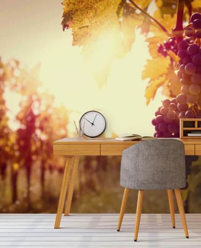 Sunset Weinberg Tapete Sunset Weinberg Tapete