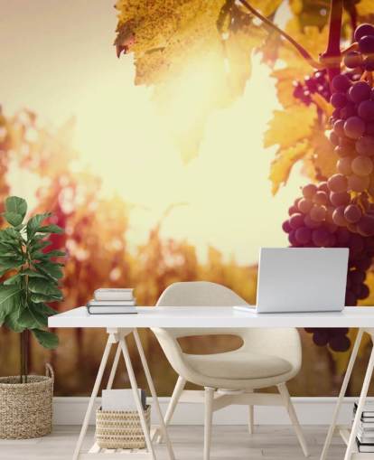 Sunset Vineyard Wallpaper Sunset Vineyard Wallpaper