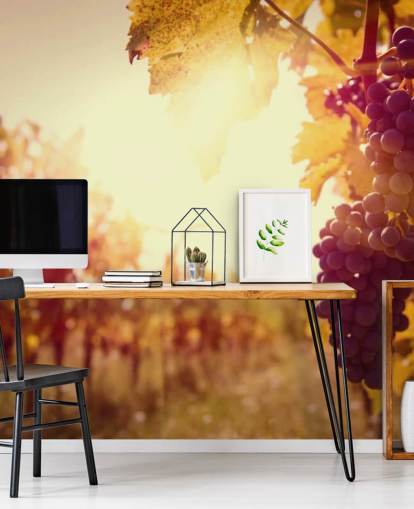 Sunset Vineyard behang Sunset Vineyard behang