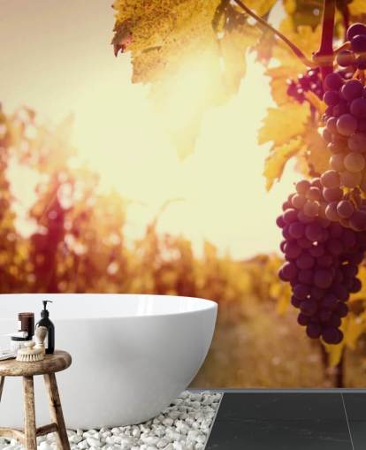 Sunset Vineyard Wallpaper Sunset Vineyard Wallpaper