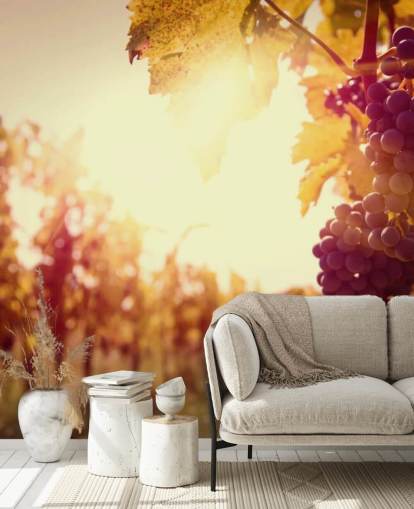 Papel de parede Sunset Vineyard Papel de parede Sunset Vineyard