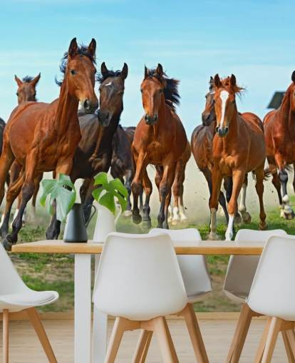 Brown Horses Running Together Mural Brown Horses Running Together Mural