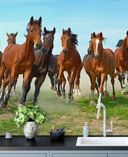 Mural Caballos marrones corriendo juntos Mural Caballos marrones corriendo juntos