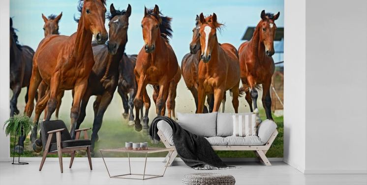 Brown Horses Running Together Mural