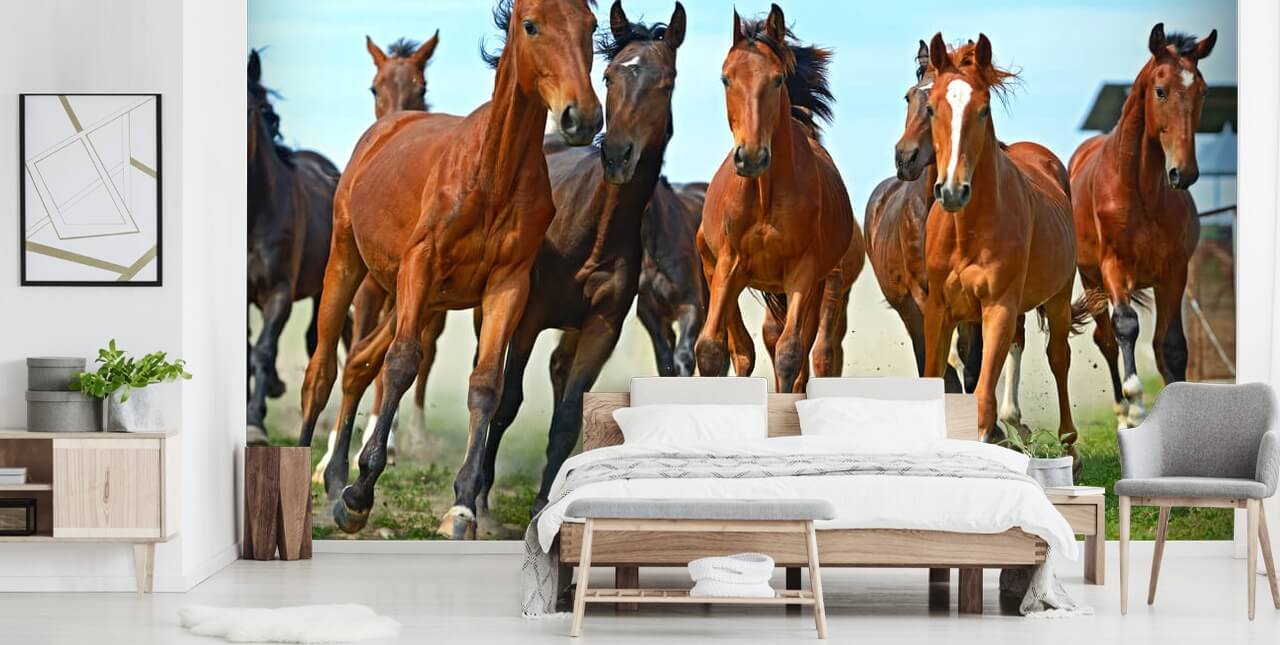 Brune Heste Løb Sammen Mural Brune Heste Løb Sammen Mural