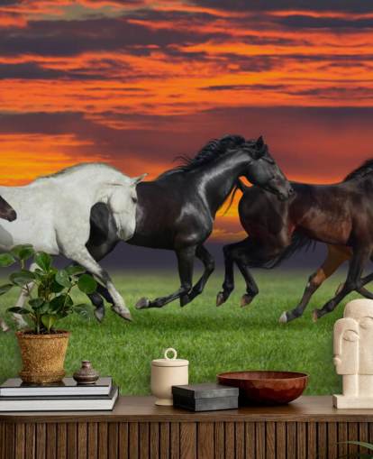 Fondo de pantalla de caballos Fondo de pantalla de caballos