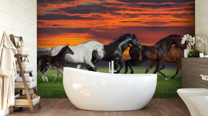 Cavalos Running Wallpaper