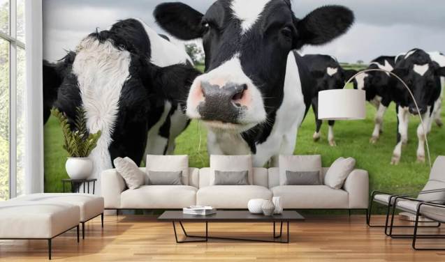 close-up van koeien behang