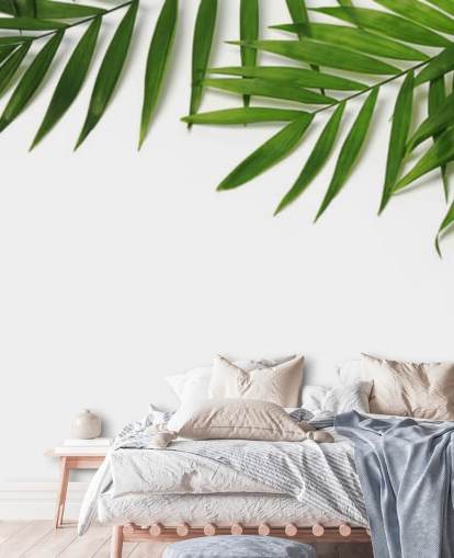 folhas de palmeira sobre papel de parede branco folhas de palmeira sobre papel de parede branco
