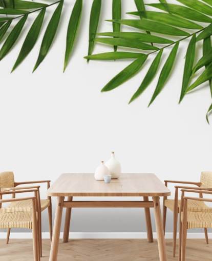 feuilles de palmier suspendues sur papier peint blanc feuilles de palmier suspendues sur papier peint blanc