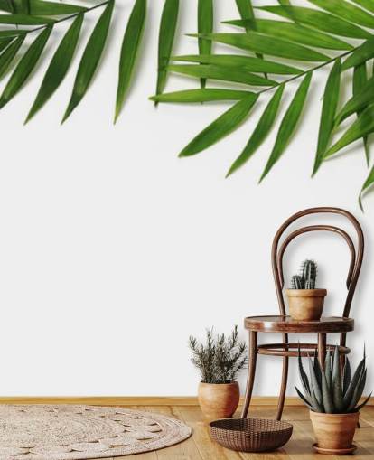 palmeblade hængende over hvidt tapet palmeblade hængende over hvidt tapet