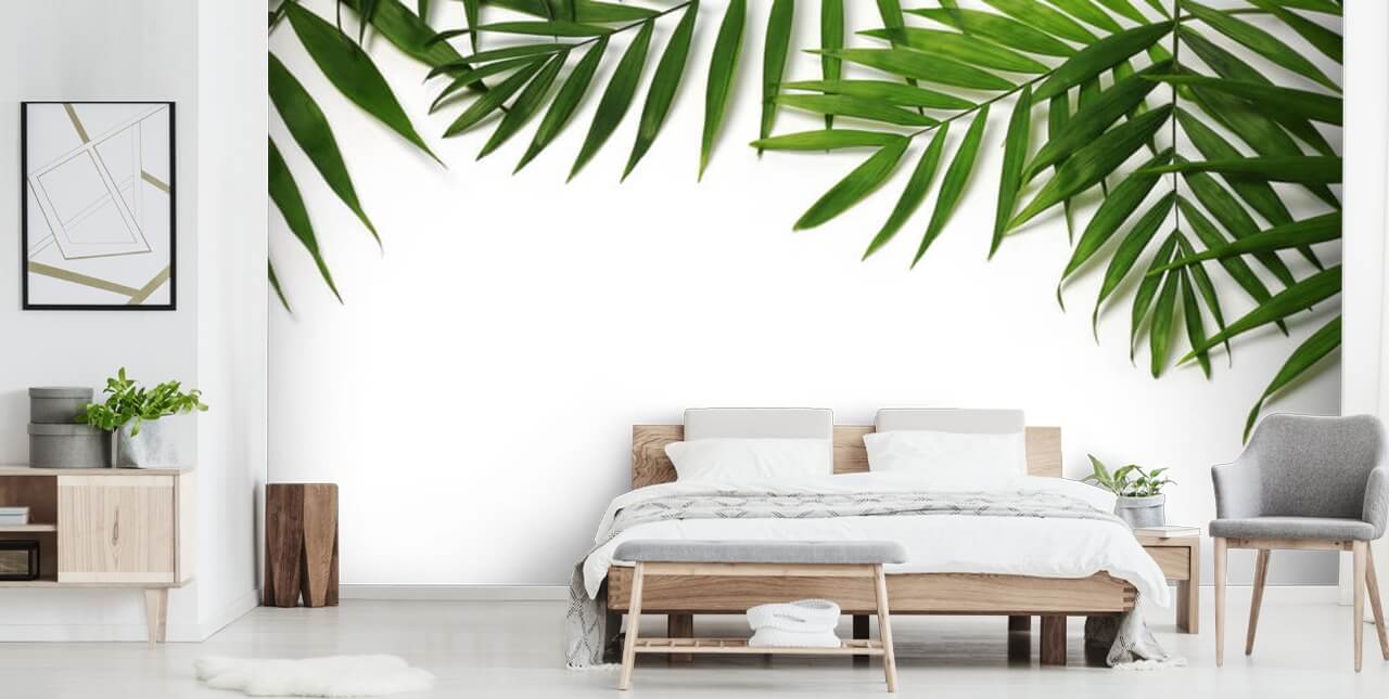 palmbladeren hangen over wit behang