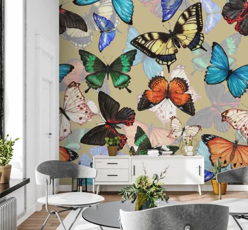 Butterfly Wallpaper | Wallsauce UK