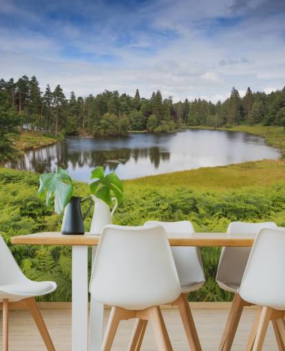 Tarn Hows Lake Wall Mural Tarn Hows Lake Wall Mural