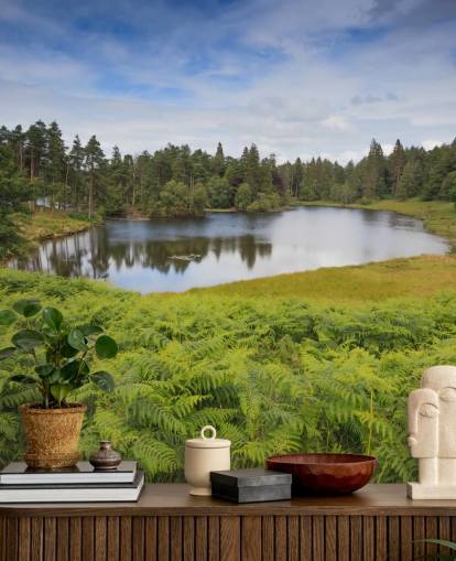 Tarn Hows Lake Wall Mural Tarn Hows Lake Wall Mural