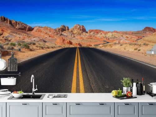 Valley of Fire Road Wall Mural