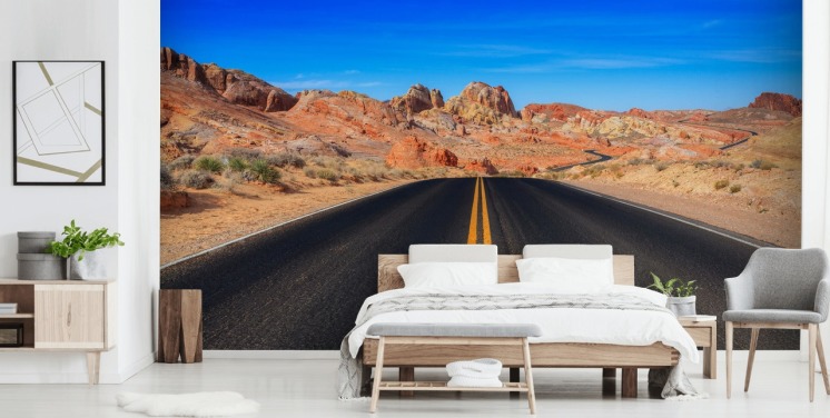 Valley of Fire Road Wall Mural